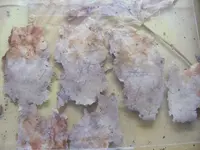 DSCF0003b.webp