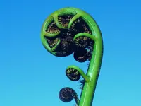 DSCF0003.webp