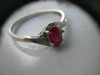 DSCN0329.webp