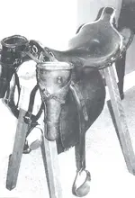 saddle.webp
