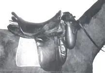 saddle2.webp