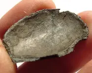 Pewter-Spoon-Fragment.webp