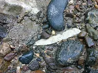rsz_blades_070.webp