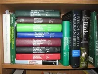 IMG_0063.webp IMG_0063.webp