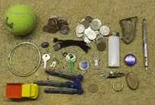 todays finds.webp