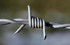 barbed-wire-xd.jpg