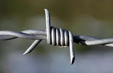 barbed-wire-xd.webp
