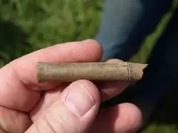 Brandywine Battlefield Find of the day.webp