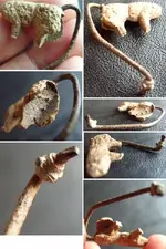 Animal-Pin-3.webp Animal-Pin-3.webp