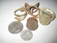 Todays Finds.webp