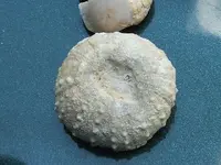 DSCF0522.webp