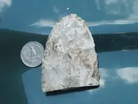 DSCF0526.webp
