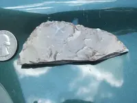 DSCF0530.webp