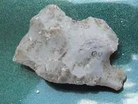 DSCF0537.webp