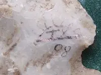 DSCF0540.webp
