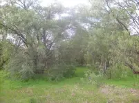 S7300805.webp