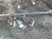 S7300761.webp