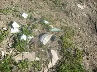 S7300773.webp