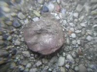 9-20-09 Strange 001.webp