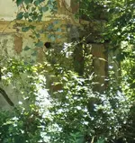 P9020008a.webp