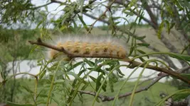 DSC00116.webp