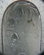 spoon 003.webp