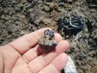 BlueObsidian24gr.webp