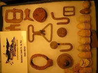 DIV Fall09 (5).webp
