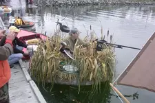 Picture 003.webp