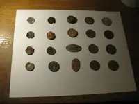 Treasure finds 2009 Penny\'s & Tokens 2.webp