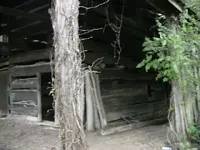 008.webp