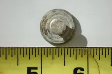 Eagle Button Rear.webp