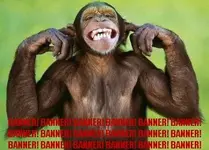 banner_monkey.webp