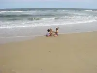 Kids.webp
