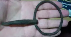 buckle 002.webp