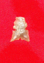DSC09217(1).GIF