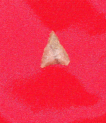 DSC09208(1).GIF