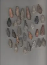 arrowhead col2222l.webp