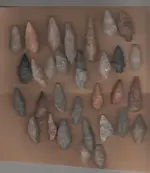 arrowhead coll 001.webp