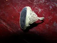 old houseRING 001.webp