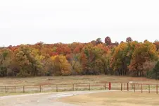 IMG_2613 - Copy.webp