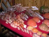 DSCN1325.webp