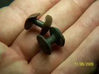 div large rivets.webp
