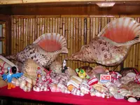 DSCN1326.webp