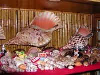 DSCN1327.webp