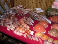 DSCN1328.webp