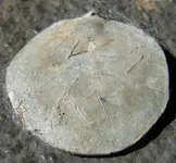 100_5302.webp