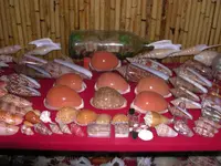 DSCN1329.webp