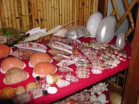 DSCN1330.webp