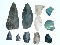 FirstFinds.webp